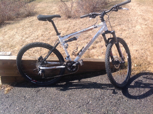 2009 Rocky Mountain Element Sport For Sale