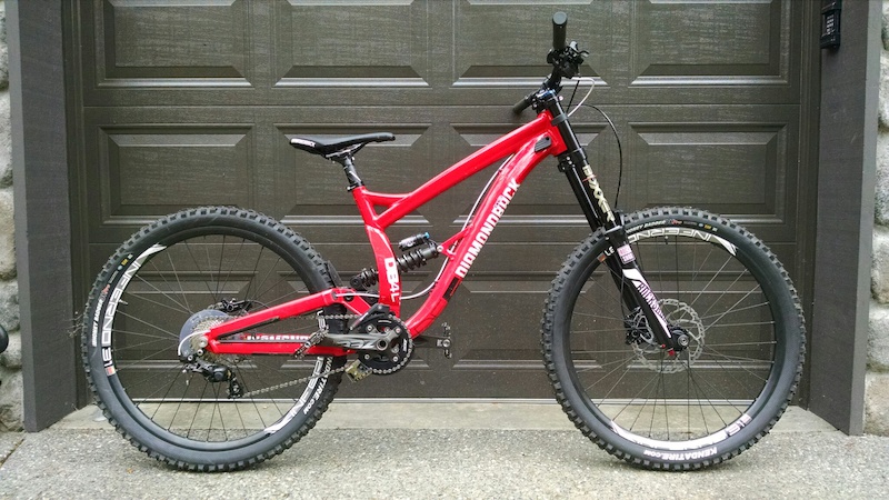 aceshin electric bike