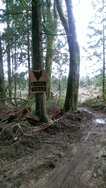 Lone Wolf Mountain Biking Trail - Bellingham, Washington