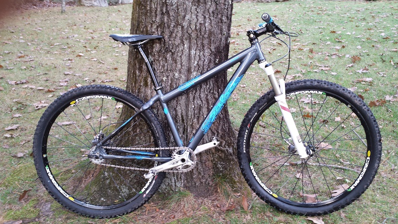 salsa single speed 29er