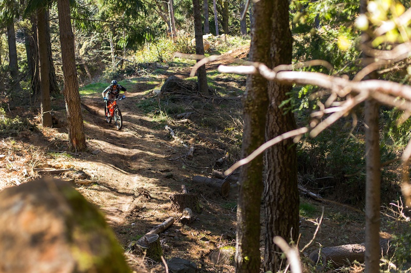 Photo Story - The First Madeira Enduro - Pinkbike