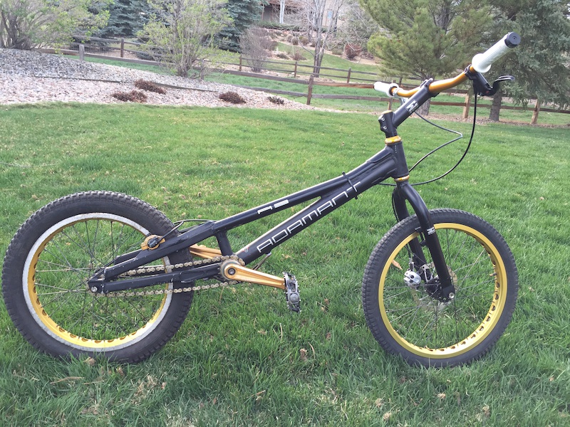 Adamant discount trials bike