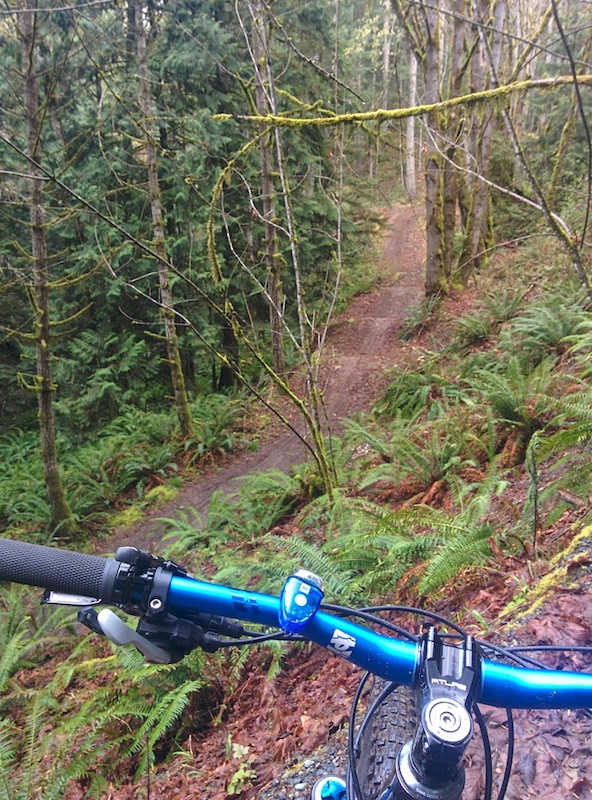 B Trail Mountain Biking Trail - Parksville, BC