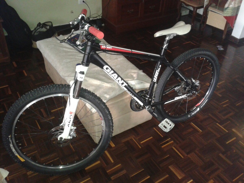 cannondale trail 1 2020