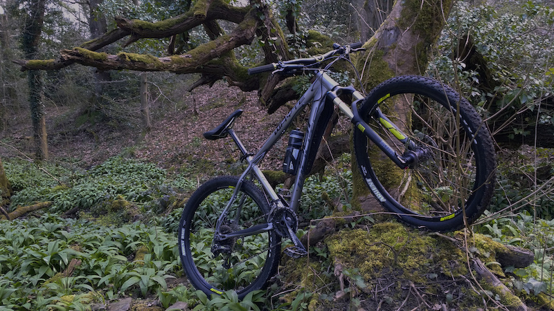 I dunno. I leant my bike against a stump