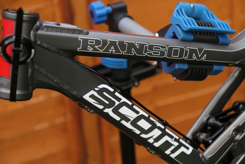 scott ransom 40 price