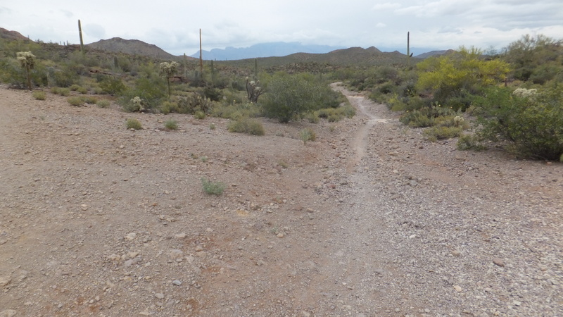 Starr Pass Mountain Bike Trail - Tucson, Arizona