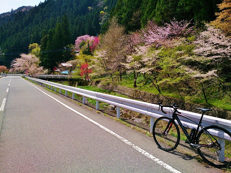 Spring of ｔhe countryside of Japan.