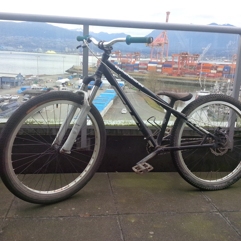 dk asterik dirt jumper