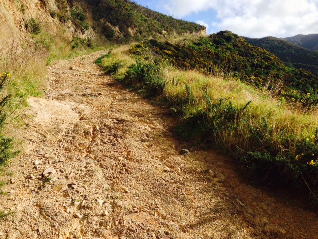 Tip Track Mountain Biking Trail - Wellington