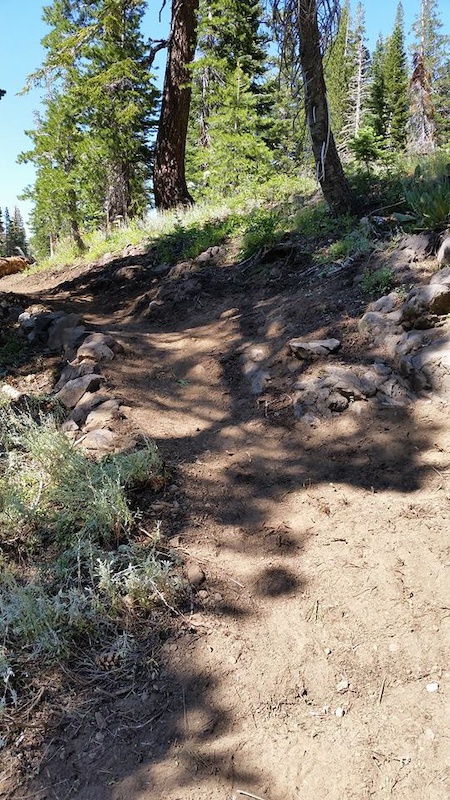 Rebuilding the Vista trail after a flash flood destroyed most of it.  Nice little rock feature on the side of the trail