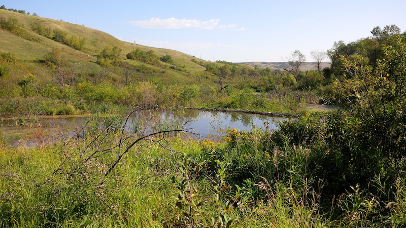 Beaver Loop Mountain Biking Trail - Moose Jaw, SK