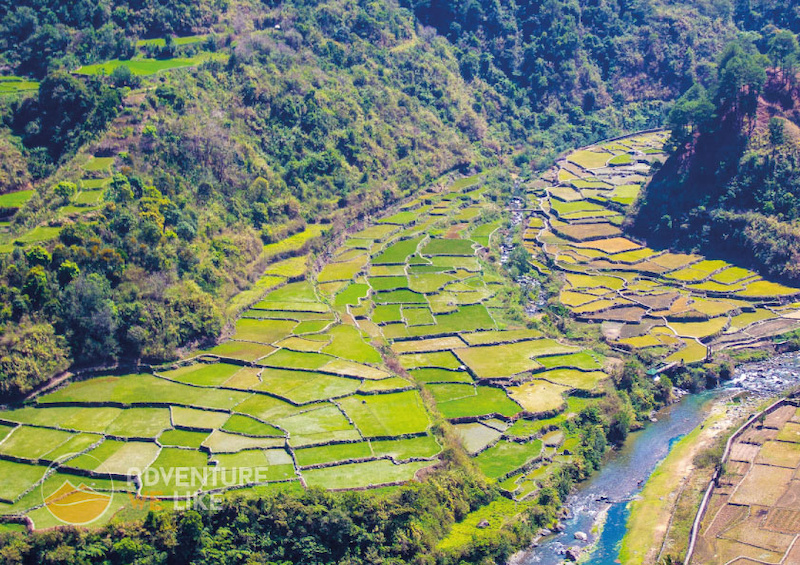 Sagada's famous rice fields in the dry season ... they get greener and more spectacular in the raining season
