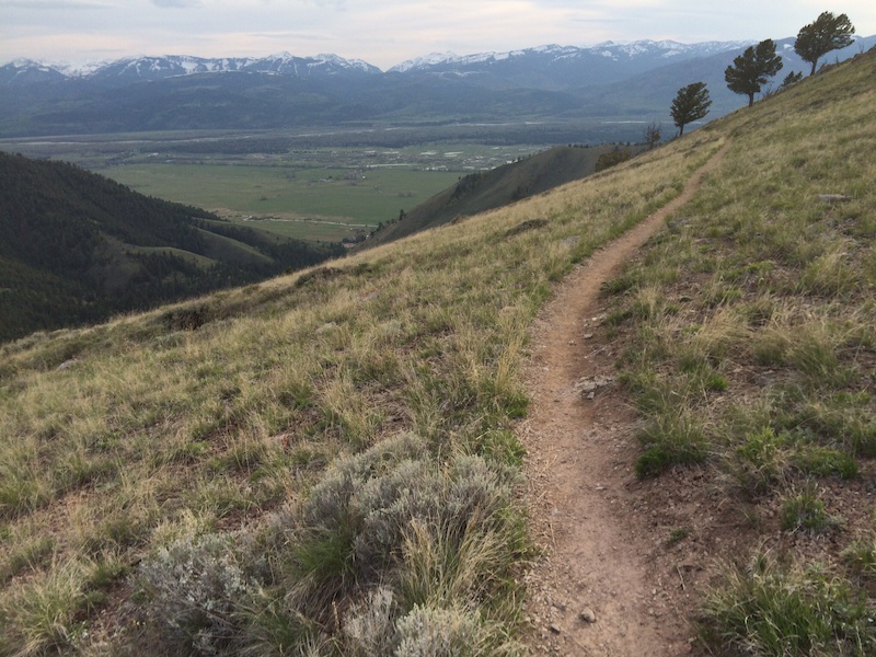 Josie's Ridge Upper Mountain Biking Trail Jackson