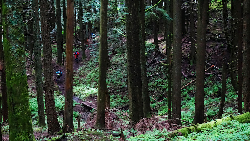 Pic 16 Mt. Sumas is a must go for anyone in the lower mainland. Photo by Amy McDermid.