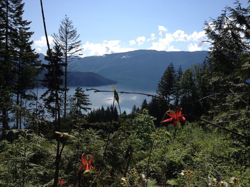 Pic 21 The view looking out over Harrsion Lake