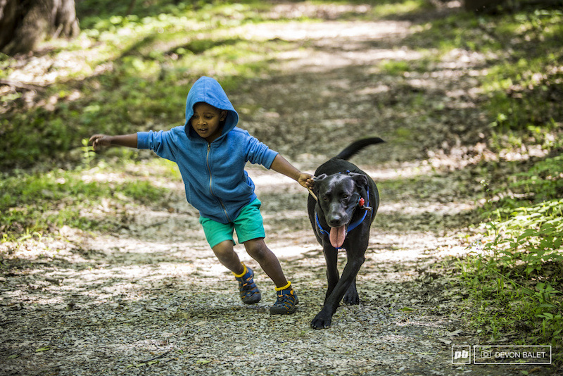 Local helper MoMo guides a dog off course.