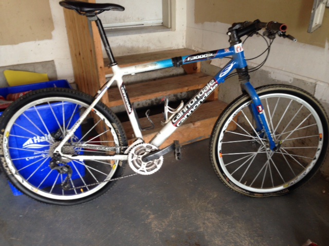 cannondale f3000 for sale