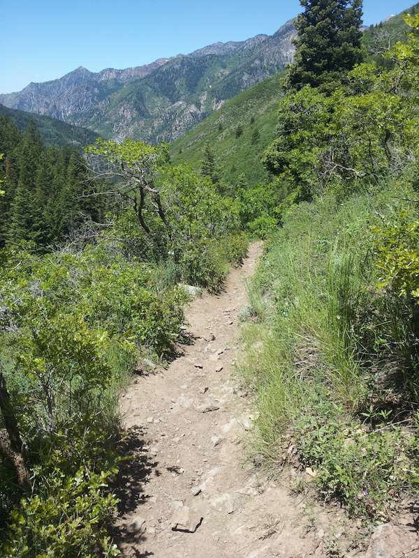 Pine Hollow Peak via Mud Springs and Pine Hollow Trail Hiking Route