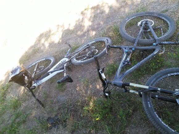 Just a couple of friends out on a ride.