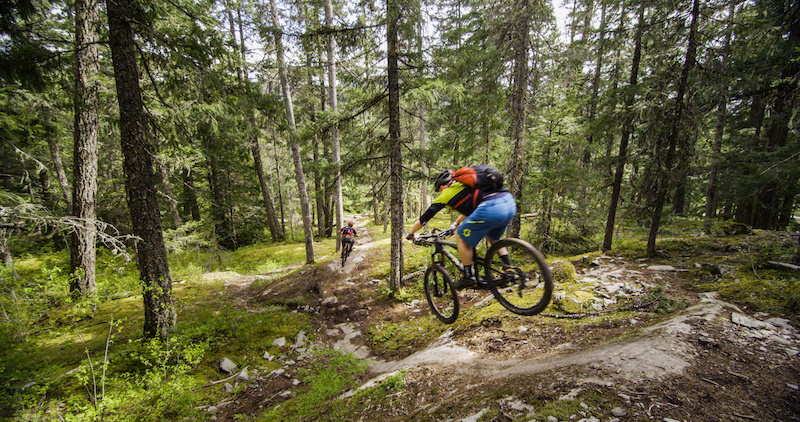 Whistler Mountain Biking A Guide to Trail Rides in the Whistler Valley