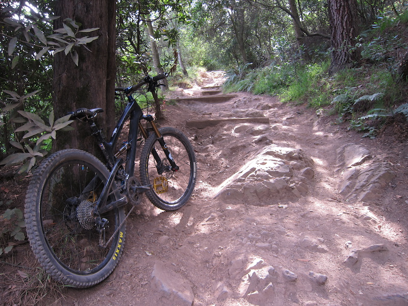 joaquin miller park mountain biking