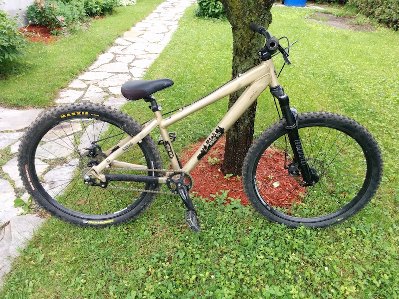 2007 Rocky mountain Flow DJ For Sale