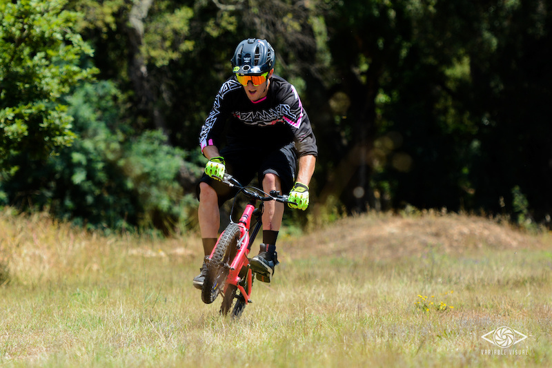 Shredding for Quere attitude III