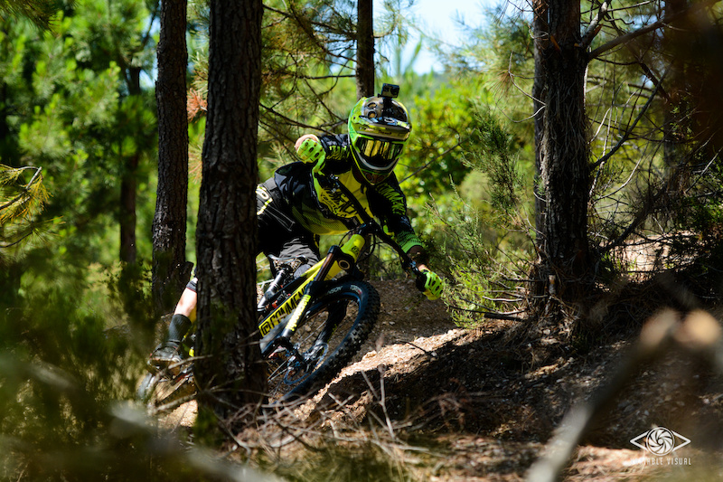 Shredding for Quere attitude III