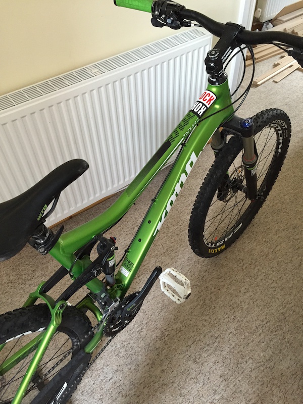 kona tanuki for sale