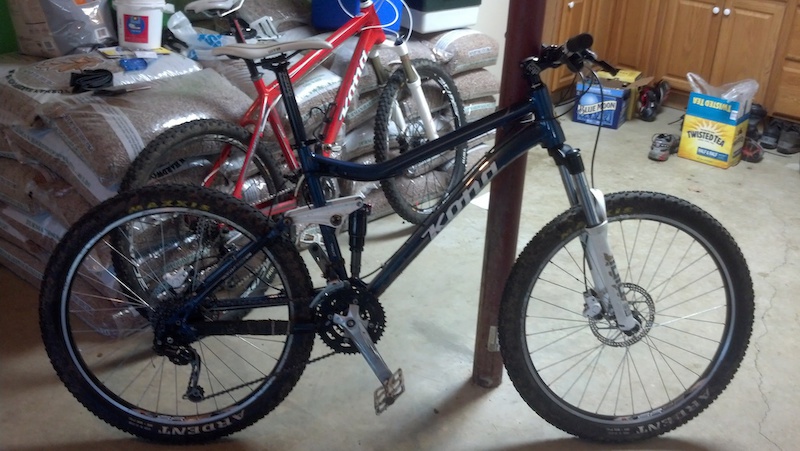 kona tanuki for sale