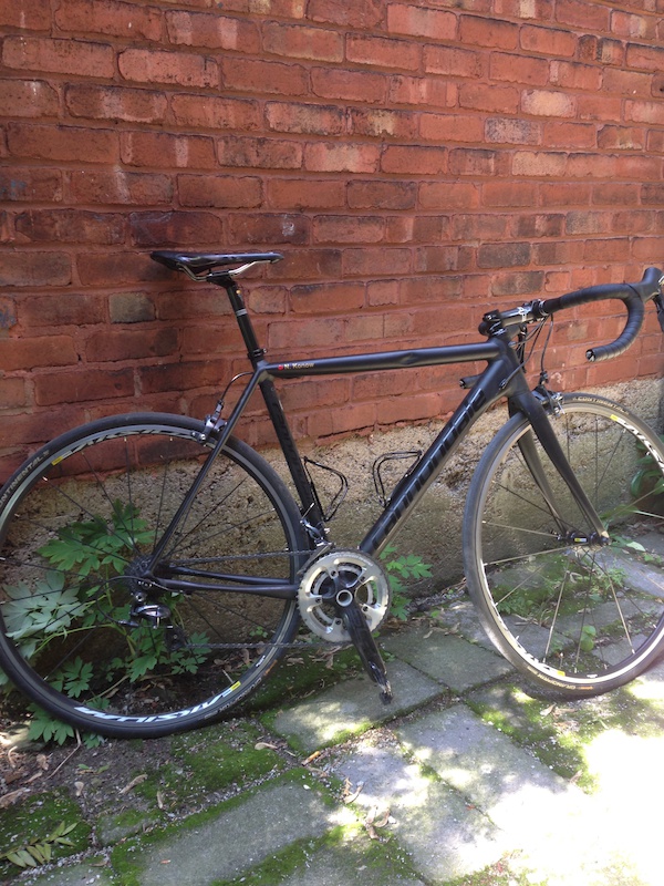 specialized 2019 stumpjumper