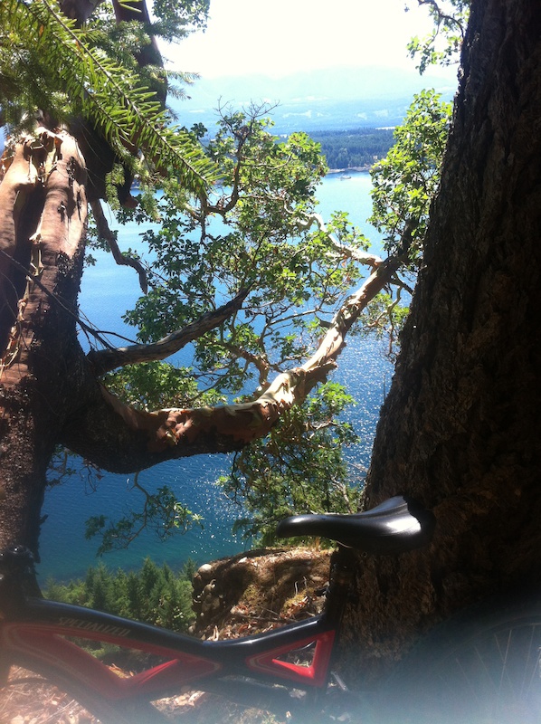 Middle Bench Trail Mountain Biking Trail Hornby Island