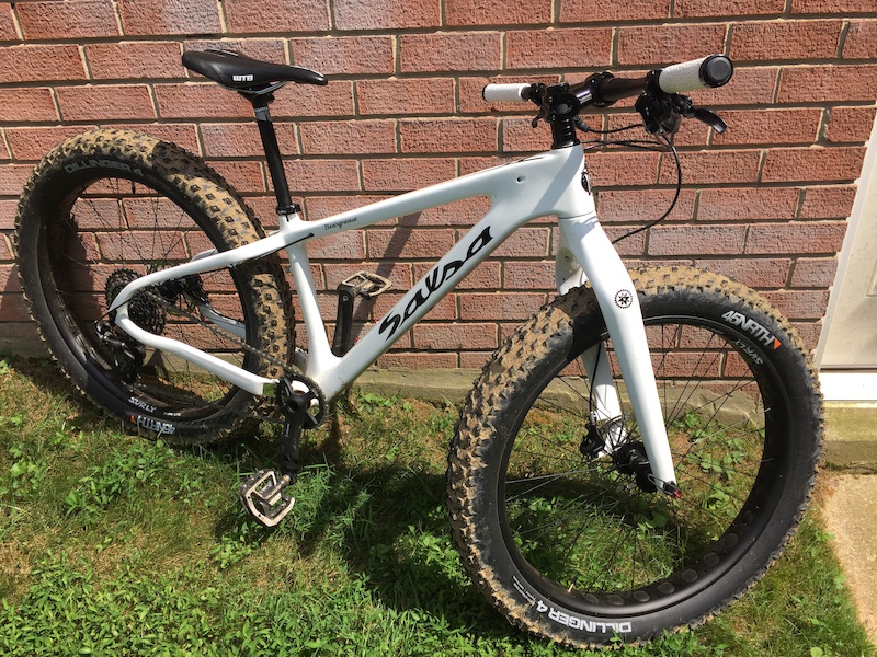 2015 salsa best sale beargrease carbon