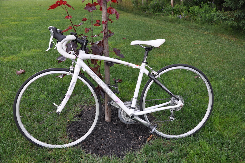 specialized dolce elite women's road bike