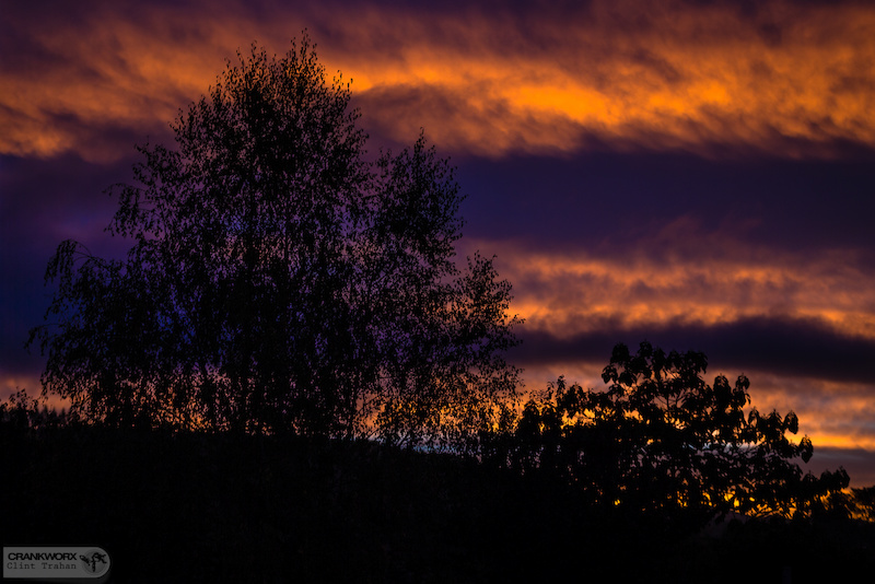 The sun is magical in Rotorua.