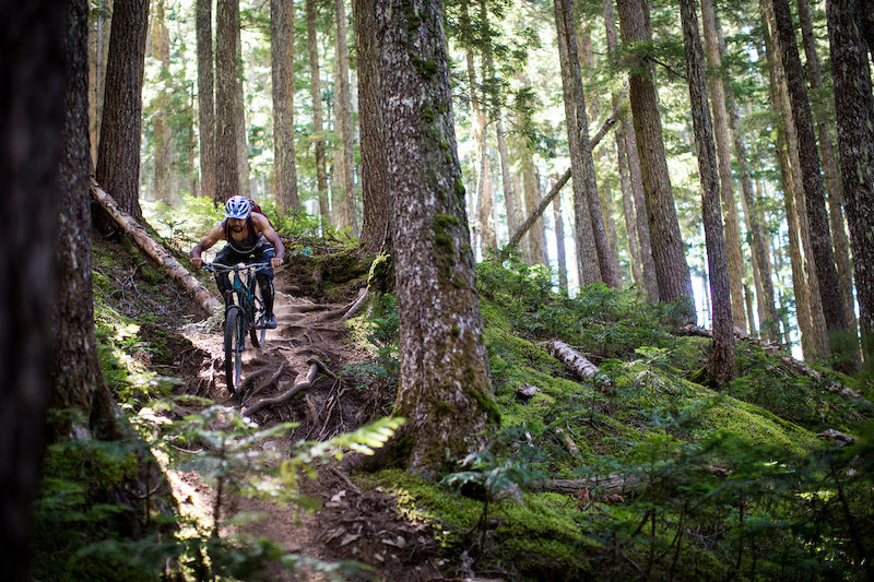 Kush Mountain Biking Trail - Whistler, British Columbia