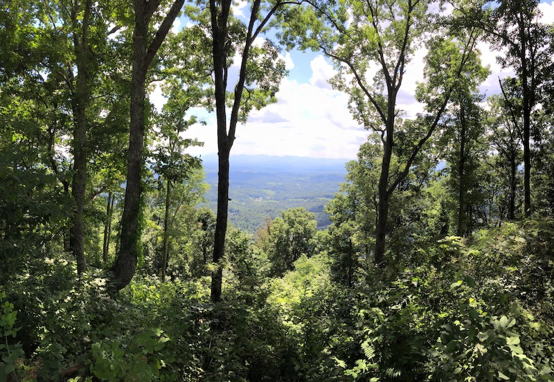 Mars Hill, North Carolina Mountain Biking Trails Trailforks