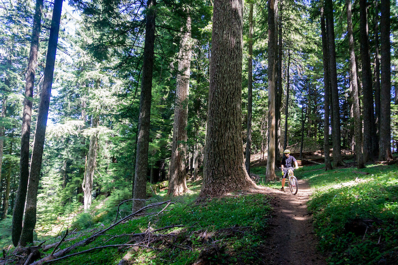 Land For Sale Oakridge Oregon