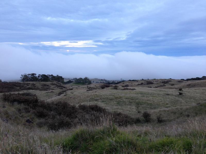 at Mana Road in Hilo, Hawaii, United States photo by mikeysolis Pinkbike