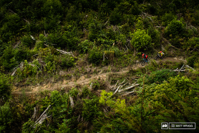 Why Every Mountain Biker Should Visit Rotorua Pinkbike