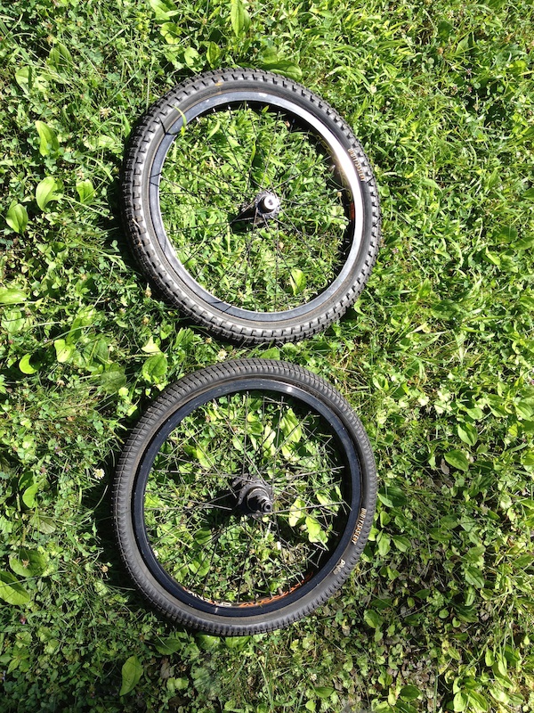 cheap freecoaster wheel