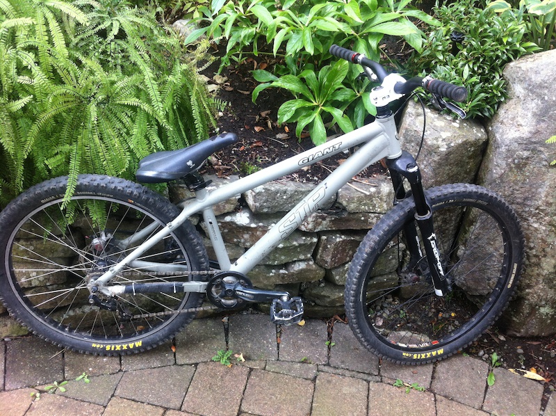 2007 Giant STP 1 For Sale