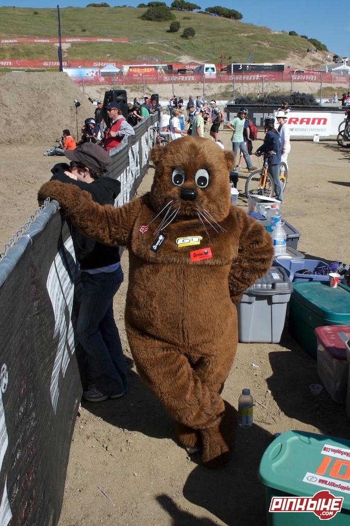 Beaver is watching the dirt jump practice too