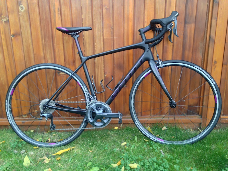 scott contessa solace 35