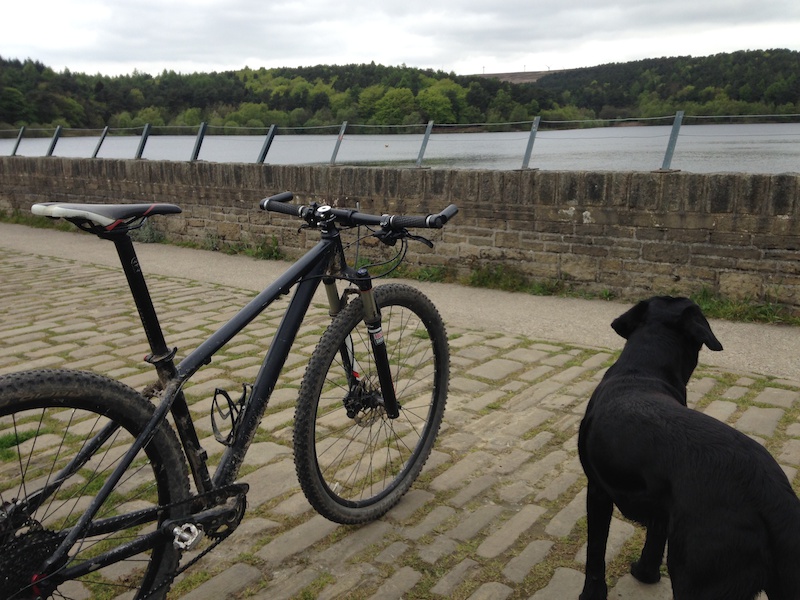 cube ltd 29er 2014
