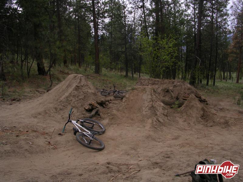 the sick jumps on the new trail