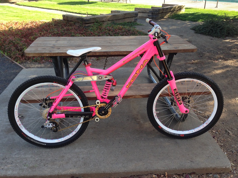 2007 Stinky Delux (STINKY PINK) For Sale