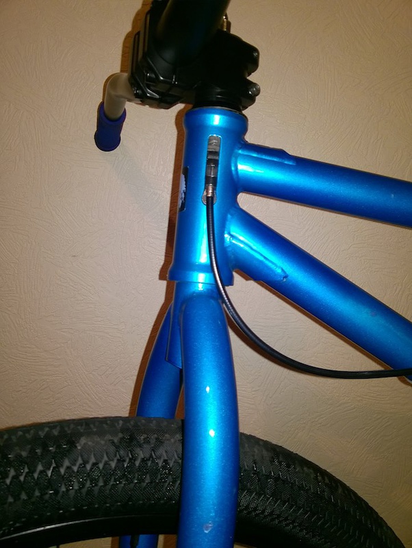 mafia blackjack blue