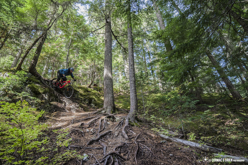 Pura Vida Mountain Biking Trail - Whistler, Bc